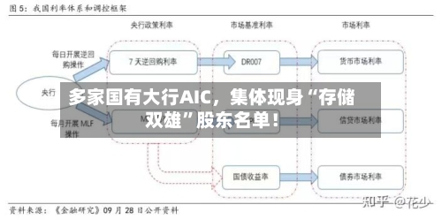 多家国有大行AIC，集体现身“存储双雄”股东名单！-第2张图片