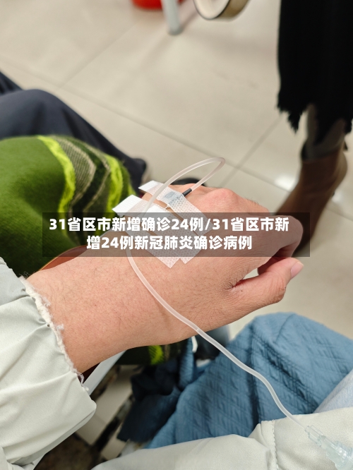 31省区市新增确诊24例/31省区市新增24例新冠肺炎确诊病例