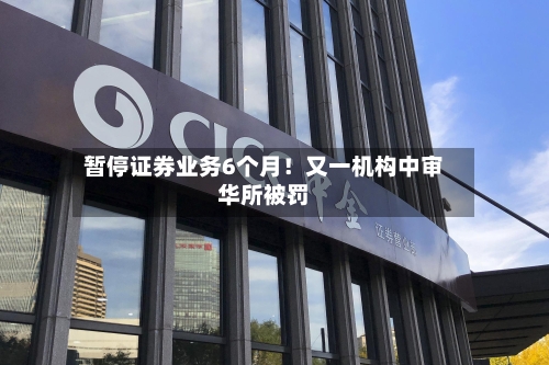 暂停证券业务6个月!又一机构中审华所被罚-第2张图片