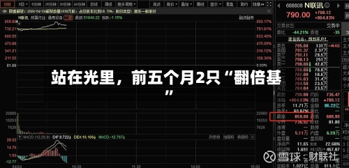 站在光里,前五个月2只“翻倍基”