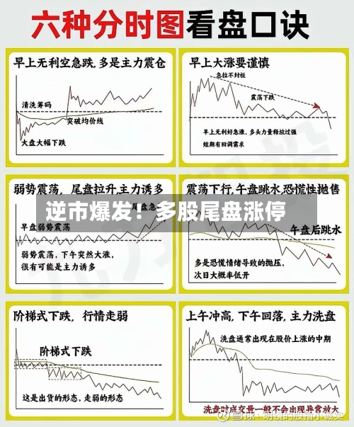 逆市爆发!多股尾盘涨停