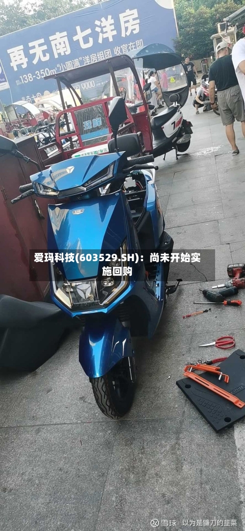 爱玛科技(603529.SH):尚未开始实施回购