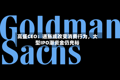 高盛CEO：通胀或改变消费行为，大型IPO潮资金仍充裕-第3张图片