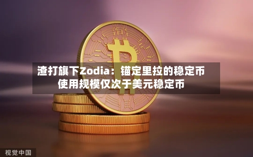 渣打旗下Zodia:锚定里拉的稳定币使用规模仅次于美元稳定币-第2张图片