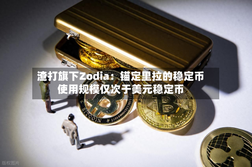 渣打旗下Zodia:锚定里拉的稳定币使用规模仅次于美元稳定币-第3张图片