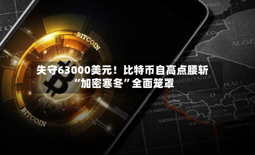 失守63000美元！比特币自高点腰斩 “加密寒冬	”全面笼罩-第3张图片