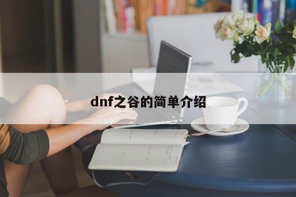 dnf之谷的简单介绍