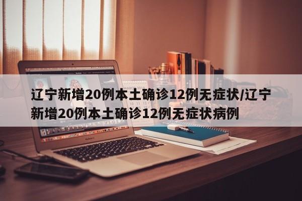 辽宁新增20例本土确诊12例无症状/辽宁新增20例本土确诊12例无症状病例