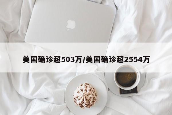 美国确诊超503万/美国确诊超2554万