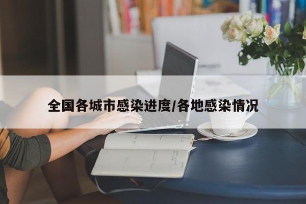 全国各城市感染进度/各地感染情况
